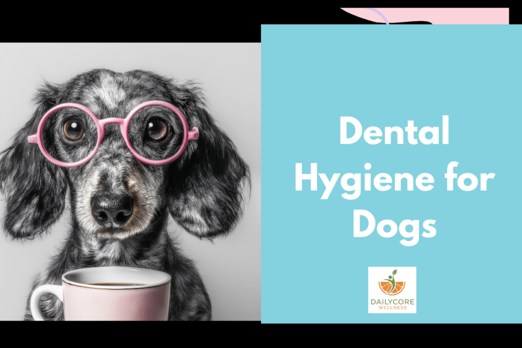 Dental Hygiene for Dogs