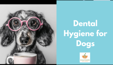 Dental Hygiene for Dogs