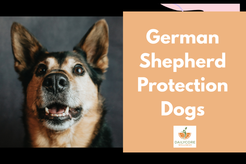 German Shepherd Protection Dogs