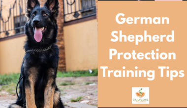 German Shepherd Protection Training Tips