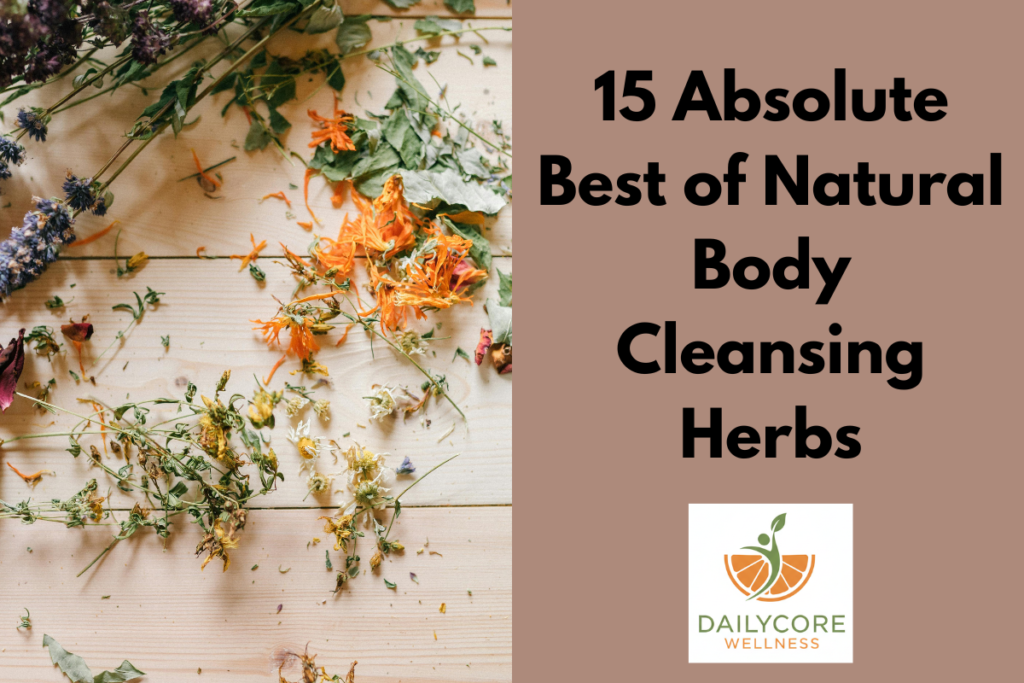 15 Absolute Best of Natural Body Cleansing Herbs