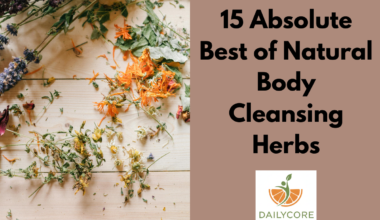 15 Absolute Best of Natural Body Cleansing Herbs