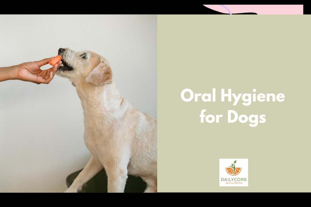Oral Hygiene for Dogs