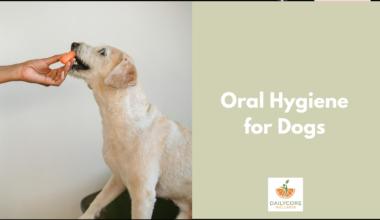 Oral Hygiene for Dogs