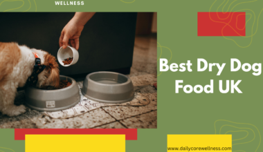 Best Dry Dog Food UK 