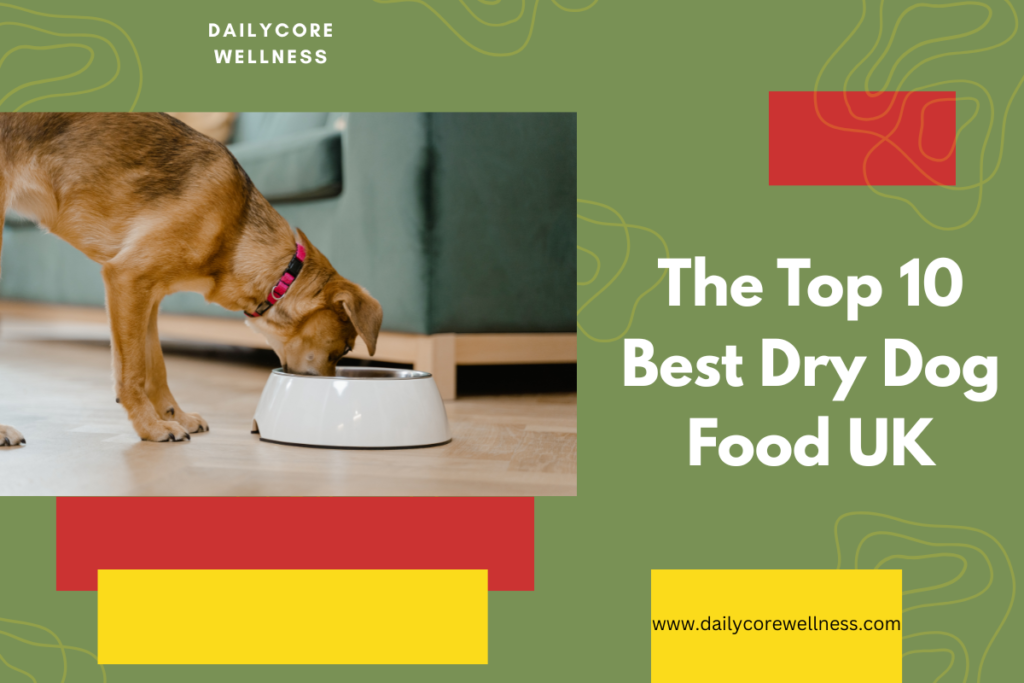 Top 10 Best Dry Dog Food UK