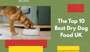 Top 10 Best Dry Dog Food UK
