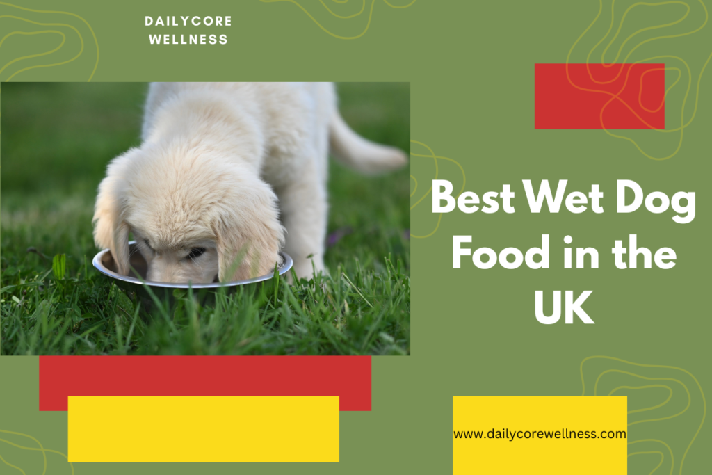 Best Wet Dog Food in the UK
