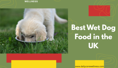 Best Wet Dog Food in the UK