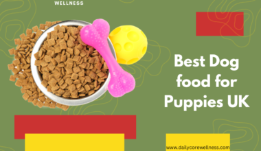 Best Dog food for Puppies UK