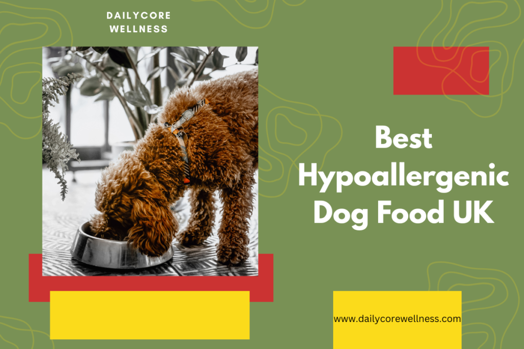 Best Hypoallergenic Dog Food UK