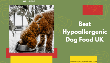 Best Hypoallergenic Dog Food UK