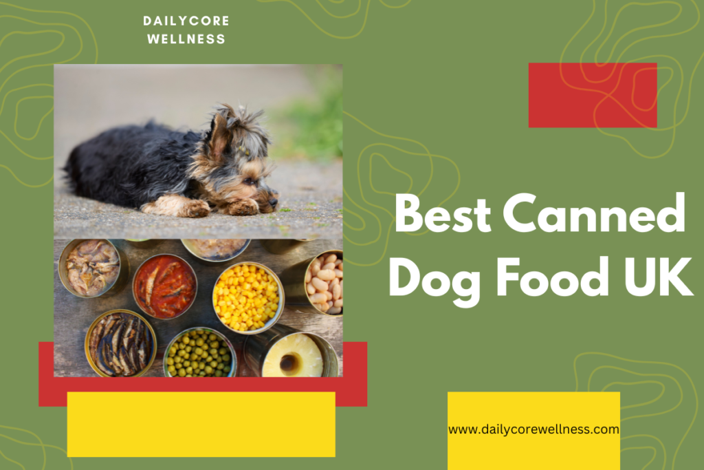 Best Canned Dog Food UK