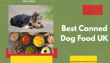 Best Canned Dog Food UK