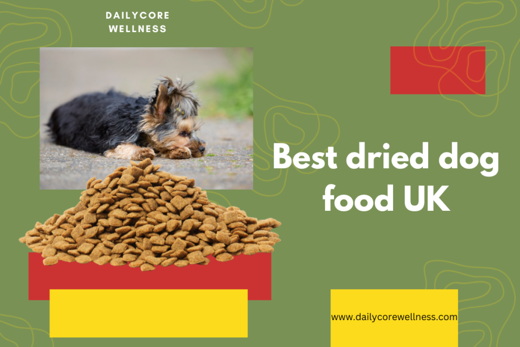 Best dried dog food UK