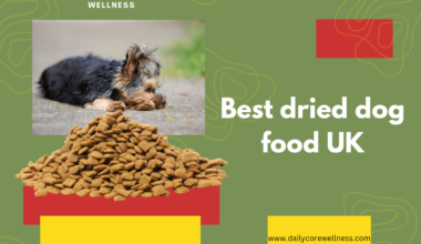 Best dried dog food UK
