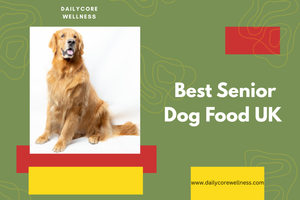  Best Senior Dog Food UK​