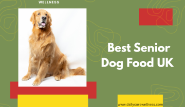 Best Senior Dog Food UK​