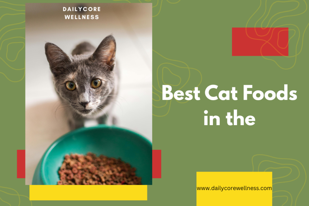 Best Cat Foods in the