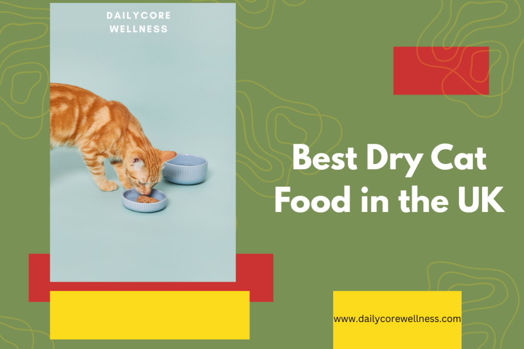 Best Dry Cat Food in the UK