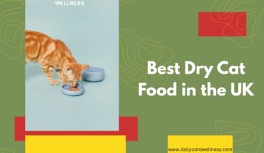 Best Dry Cat Food in the UK