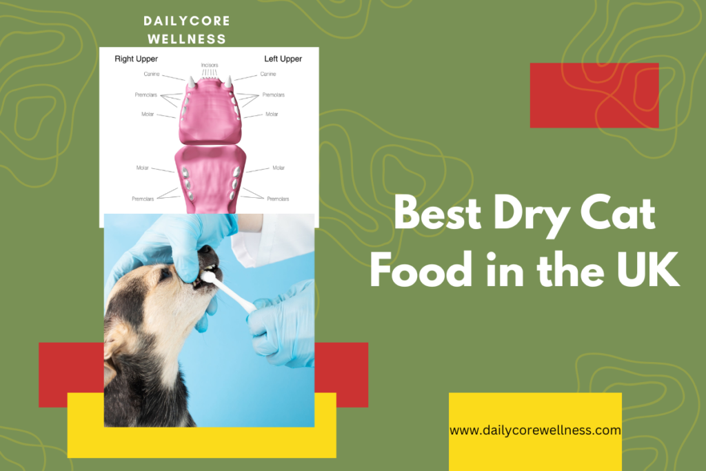 Pet Dental Care