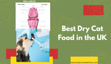 Pet Dental Care