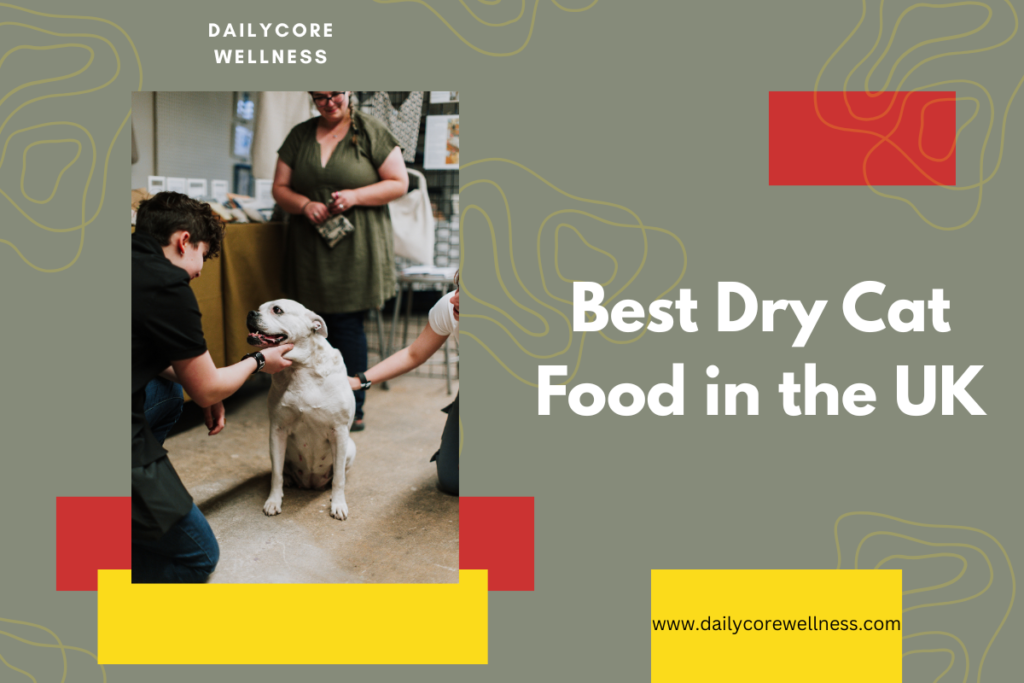 Best Pet Insurance for Older Dogs in the UK