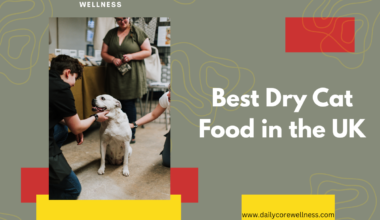 Best Pet Insurance for Older Dogs in the UK
