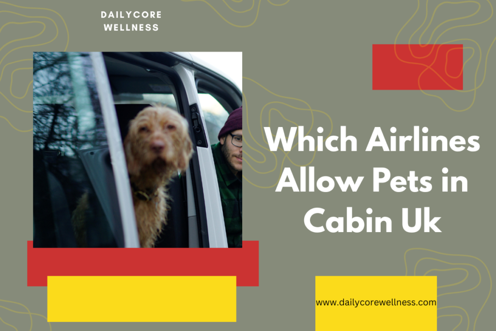Which Airlines Allow Pets in Cabin Uk