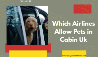 Which Airlines Allow Pets in Cabin Uk