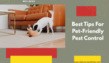 Best Tips For Pet-Friendly Pest Control