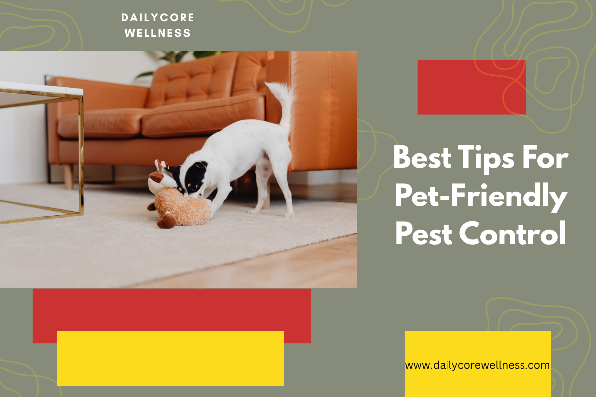 Best Tips For Pet-Friendly Pest Control