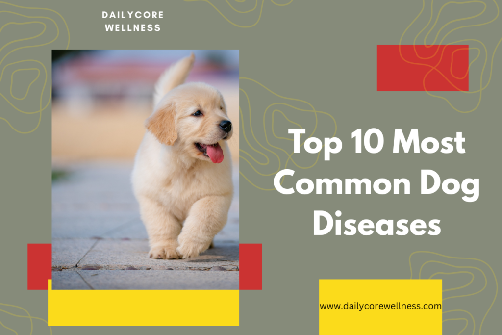 Top 10 Most Common Dog Diseases​